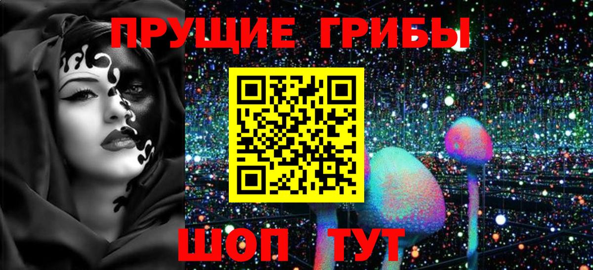 Галлюциногенные грибы мицелий  Вход с VPN  Галлюциногенные грибы Cubensis  Острогожск 