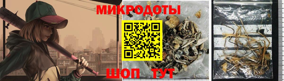 Галлюциногенные грибы GOLDEN TEACHER Острогожск